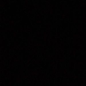 Meet your Posher, Darby